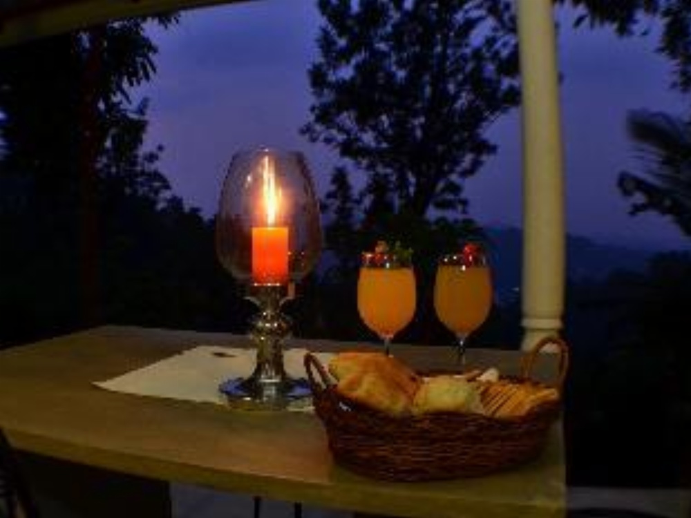 Villa Shenandoah Image 19